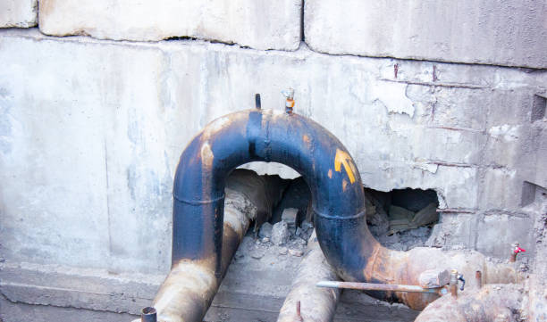 Best Carpet water damage restoration  in Pine Ridge, SC