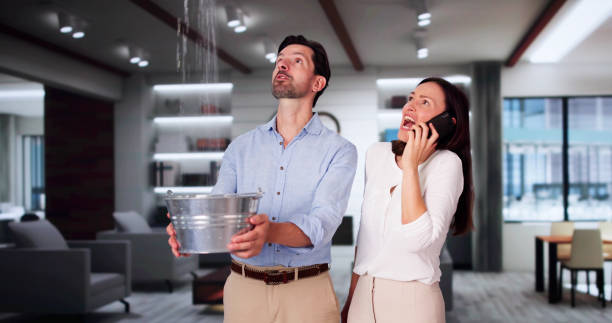Best Mold removal after water damage  in Pine Ridge, SC